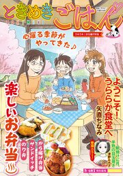 ときめきごはん　ウキウキ♪から揚げ弁当