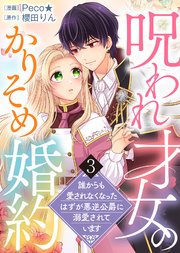 【電子限定特装版】呪われ才女のかりそめ婚約～誰からも愛されなくなったはずが悪逆公爵に溺愛されています～（3）