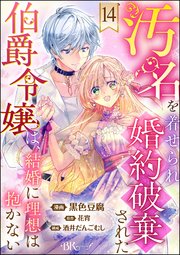 汚名を着せられ婚約破棄された伯爵令嬢は、結婚に理想は抱かない コミック版（分冊版） 【第14話】
