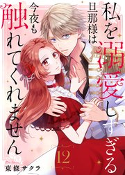 私を溺愛しすぎる旦那様は今夜も触れてくれません（12）