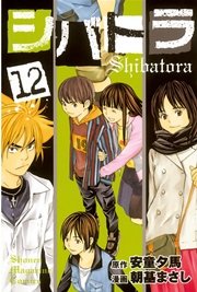 シバトラ（12）