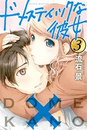 ドメスティックな彼女（3）