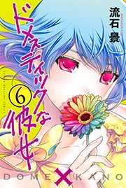 ドメスティックな彼女（6）