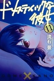 ドメスティックな彼女（11）
