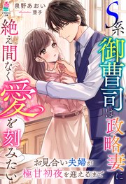 S系御曹司は政略妻に絶え間なく愛を刻みたい～お見合い夫婦が極甘初夜を迎えるまで～