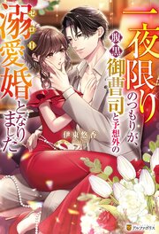 一夜限りのつもりが、腹黒御曹司と予想外のゼロ日溺愛婚となりました