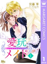 愛玩メイド 王子とすごすヒミツの夜