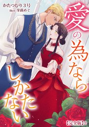 愛の為ならしかたない【完全版】2