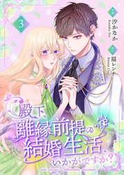 殿下、離縁前提の結婚生活、いかがですか？【合冊版】3