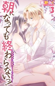 朝になっても終わらないっ！～初恋相手は金髪エリートでケダモノ～3