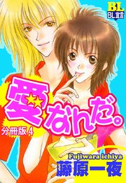 愛なんだ。 分冊版 4巻