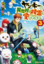 ヤンキーは異世界で精霊に愛されます。3