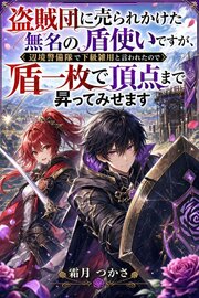 盗賊団に売られかけた無名の盾使いですが、辺境警備隊で下級雑用と言われたので盾一枚で頂点まで昇ってみせます