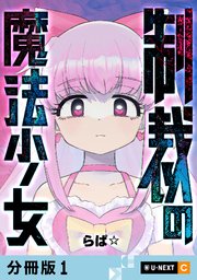 制裁の魔法少女
