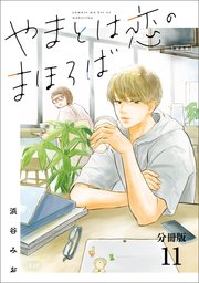 【分冊版】やまとは恋のまほろば 新装版(11)