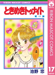 ときめきトゥナイト 17
