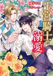 王宮騎士の溺愛