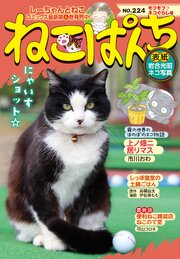 ねこぱんち