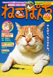 ねこぱんち