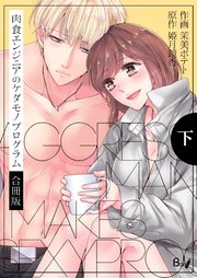 肉食エンジニアのケダモノプログラム【合冊版】 下巻