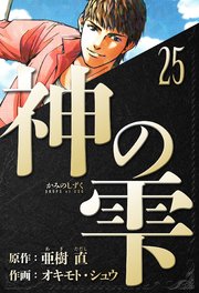 神の雫　愛蔵版　25