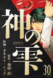 神の雫　愛蔵版　30