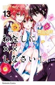 わたしに××しなさい！（13）