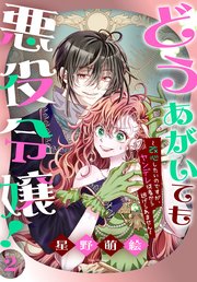 どうあがいても悪役令嬢！～改心したいのですが、ヤンデレ従者から逃げられません～ 2巻