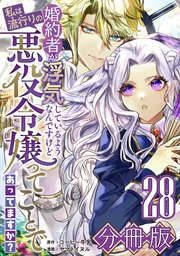 婚約者が浮気しているようなんですけど私は流行りの悪役令嬢ってことであってますか？【分冊版】28