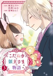 こだぬきと領主さまの物語 ～女神さまの御座す国～（コミック） 3巻