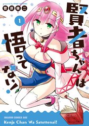 賢者ちゃんは悟ってない！