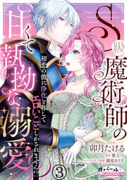 S級魔術師の甘くて執拗な溺愛　初恋の彼に浄化と称してエロいことしかされません！？３