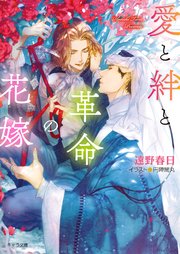 愛と絆と革命の花嫁 砂楼の花嫁4