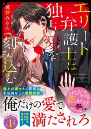 エリート弁護士は独占愛を刻み込む