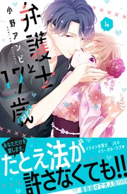 弁護士と17歳（4）