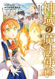 神域の魔法使い～神に愛された落第生は魔法学院へ通う～ 3巻