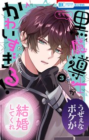 うちの黒魔導士がかわいすぎる！ 3巻