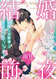 ベリーズ文庫 溺甘アンソロジー 結婚前夜