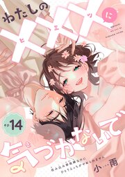 わたしの×××に気づかないで　住み込み家政婦なのにひとりえっちがやめられません 【短編】ep.14