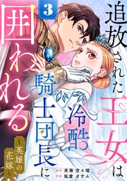 追放された王女は冷酷騎士団長に囲われる～英雄の花嫁～ 3巻