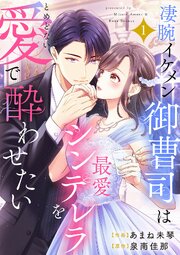 凄腕イケメン御曹司は最愛シンデレラをとめどない愛で酔わせたい