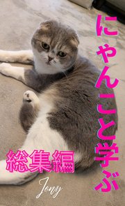 にゃんこと学ぶ総集編
