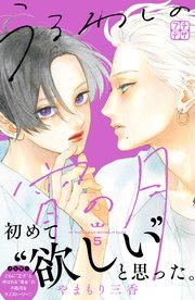 うるわしの宵の月 プチデザ