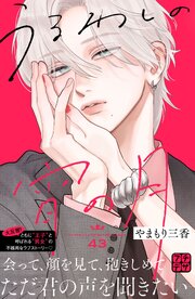 うるわしの宵の月　プチデザ（４３）