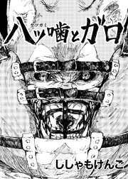 八ツ噛とガロ