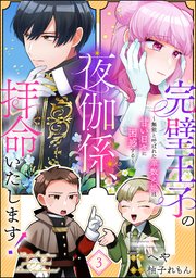 完璧王子の夜伽係、拝命いたします！ ～無能と呼ばれた羊数え姫は甘い日々に困惑する～（分冊版） 【第3話】