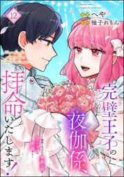 完璧王子の夜伽係、拝命いたします！ ～無能と呼ばれた羊数え姫は甘い日々に困惑する～（分冊版） 【第12話】