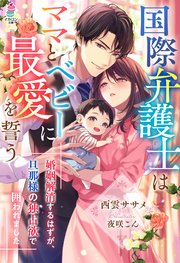 国際弁護士はママとベビーに最愛を誓う～婚姻解消するはずが、旦那様の独占欲で囲われました～