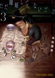 ただ離婚してないだけ【電子限定おまけ付き】 3巻