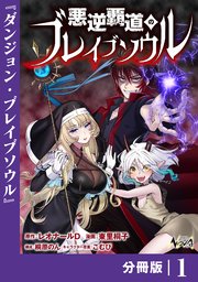 悪逆覇道のブレイブソウル